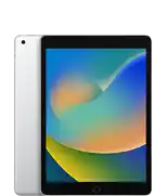 iPad (9. Generation)