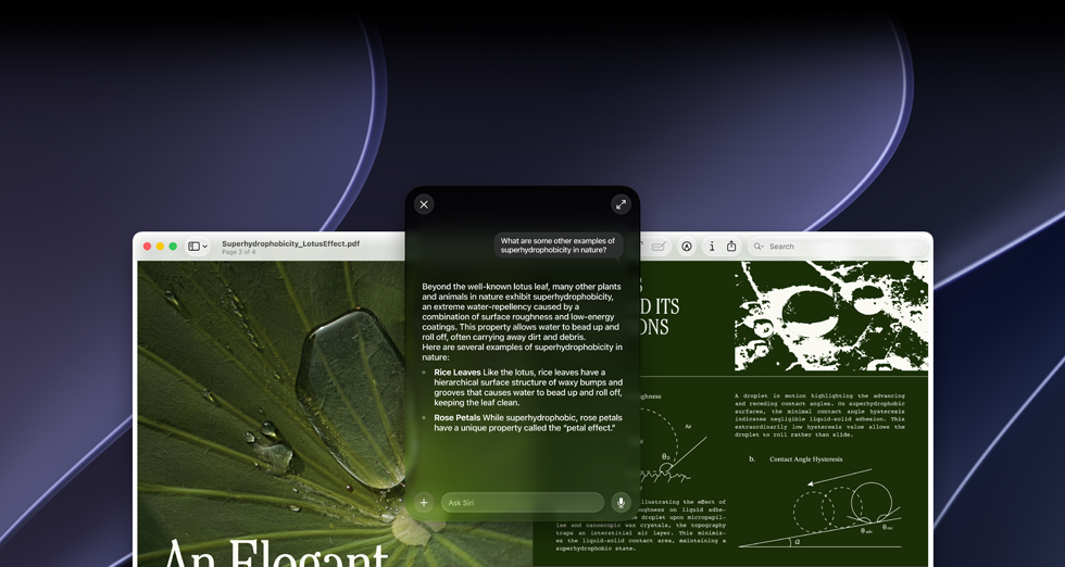 Demo zu Siri und Visueller Intelligenz, auf einem Mac Display wird eine Benutzeranfrage zu einem Thema in einem PDF angezeigt, sie lautet „Was sind andere Beispiele für Superhydrophobie in der Natur?“, Antwort von Siri